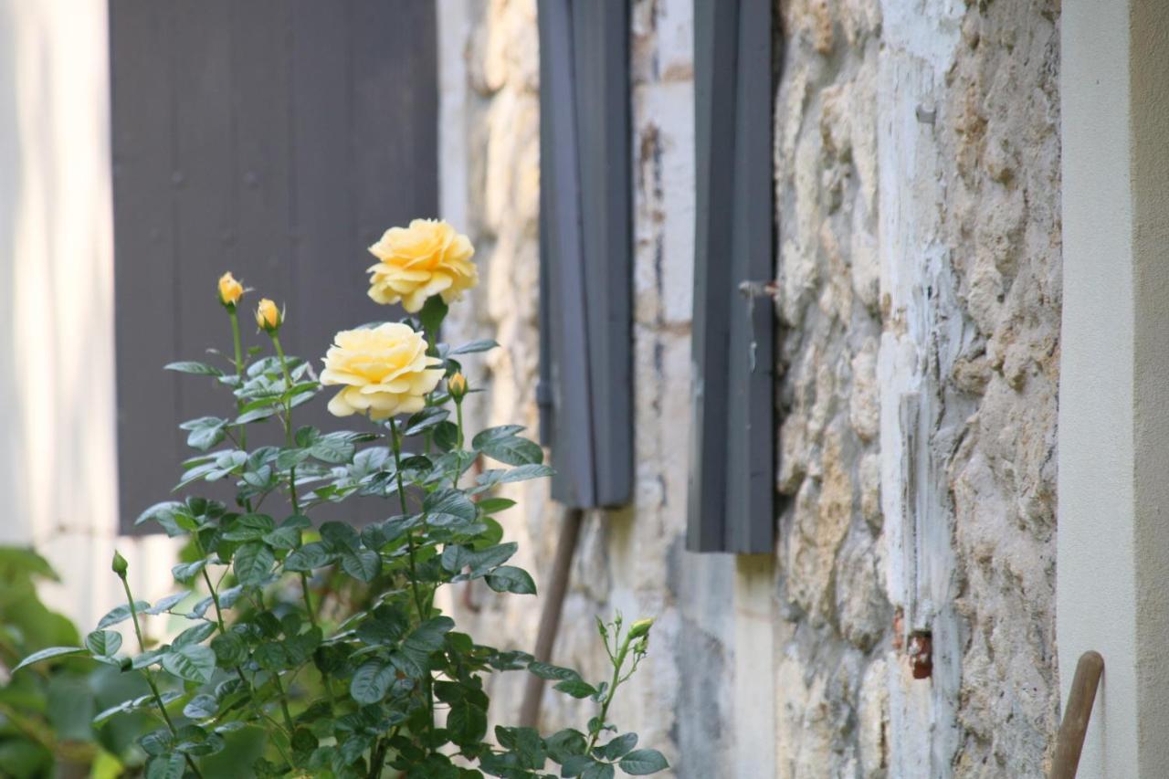 Villa Le Bon Ami Fronsac  Esterno foto